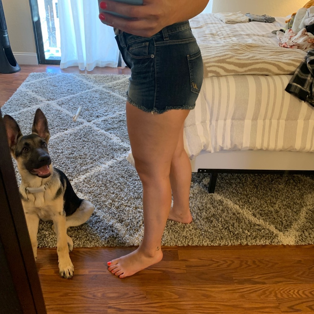 Express shorts - Picture 6 of 6